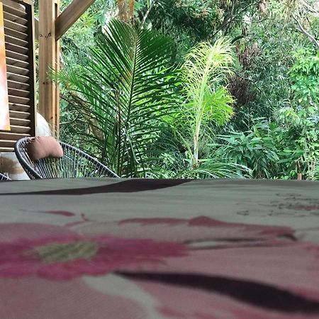 Le Lambablanc Bed & Breakfast Bras-Panon Ngoại thất bức ảnh