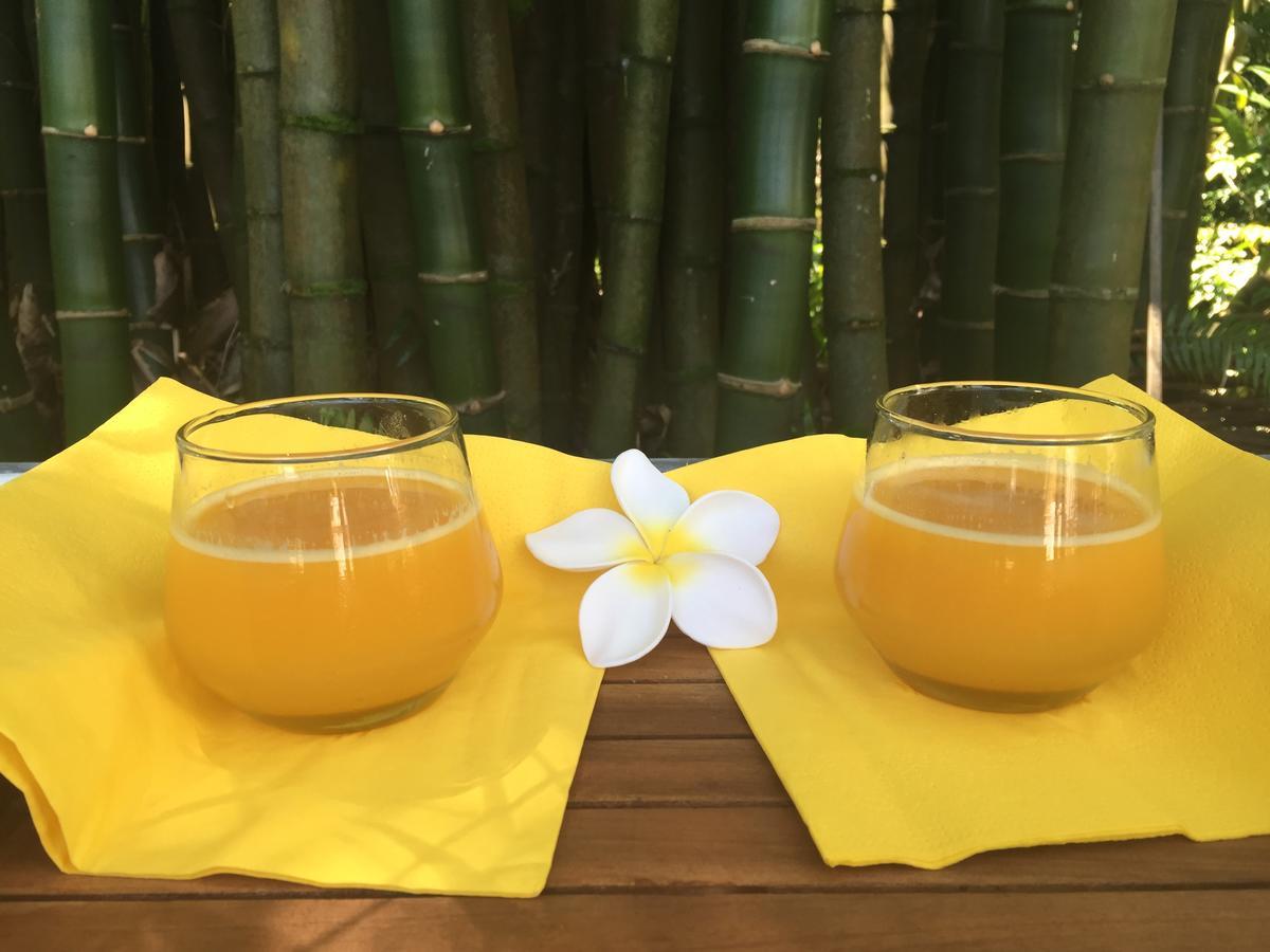 Le Lambablanc Bed & Breakfast Bras-Panon Ngoại thất bức ảnh